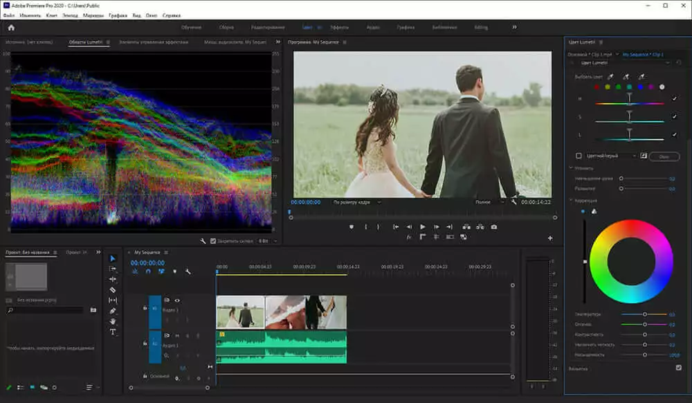 скриншот adobe premiere pro