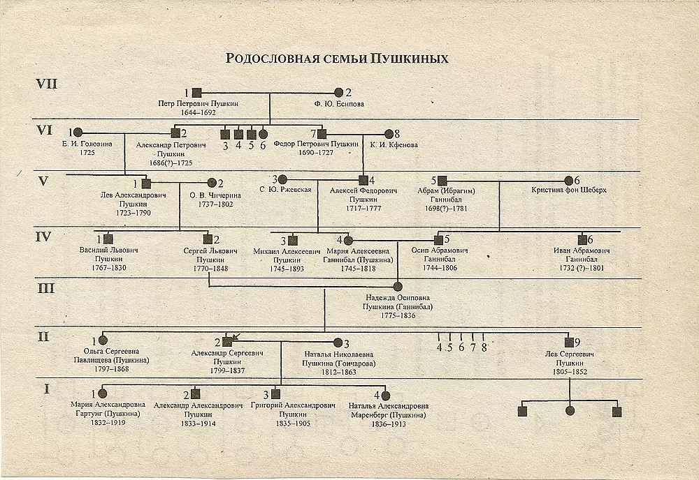 Генеалогическое дерево рюриковичей. Рюриковичи: генеалогическое древо династии