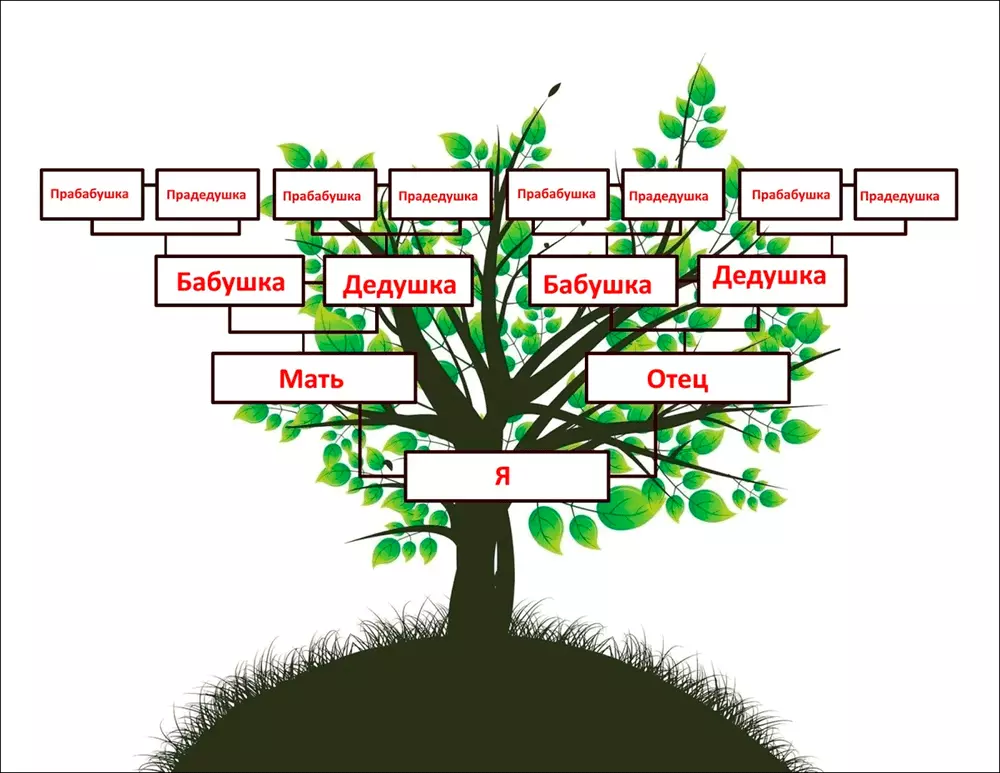 Семейное дерево 2 класс окружающий мир образец - где найти/скачать?