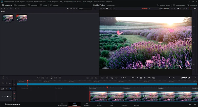 Скриншот программы DaVinci Resolve