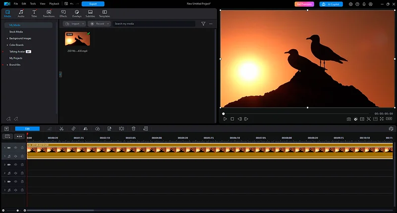 Скриншот программы PowerDirector 365